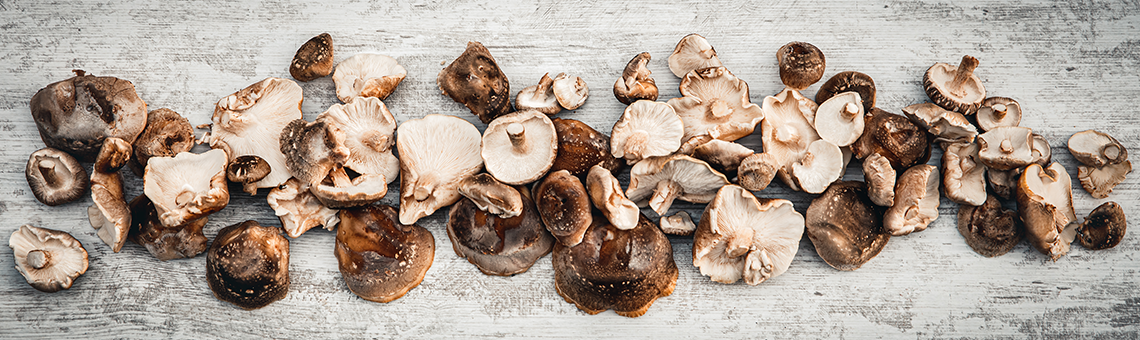 Nie tylko mun – azjatyckie grzyby shiitake jako pigułka zdrowia